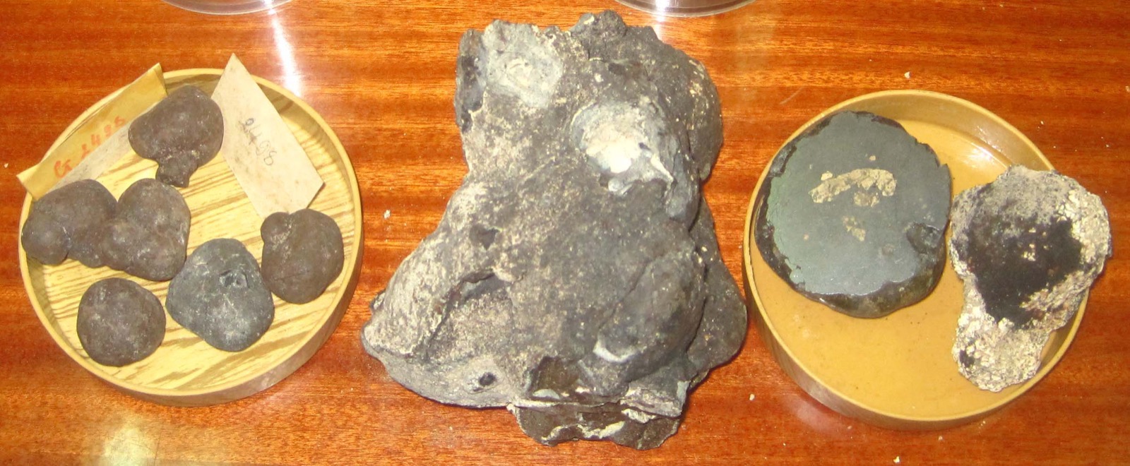 Iron-manganese nodules from the Clarion-Clipperton Zone on a wooden table, some whole and one cut and polished